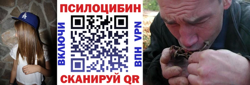 дарнет шоп Олёкминск Галлюциногенные грибы GOLDEN TEACHER